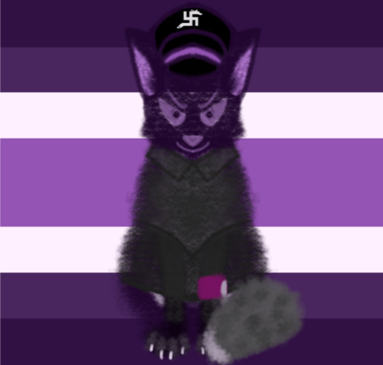 TransNaziFox TransNaziFox